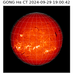 gong - 2024-09-29T19:00:42