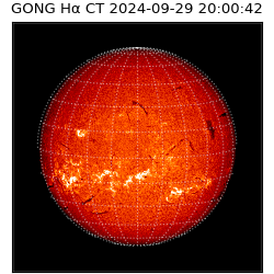 gong - 2024-09-29T20:00:42