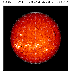 gong - 2024-09-29T21:00:42