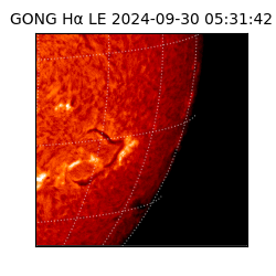 gong - 2024-09-30T05:31:42