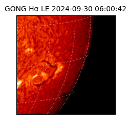 gong - 2024-09-30T06:00:42