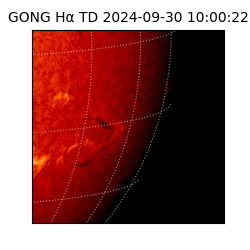 gong - 2024-09-30T10:00:22