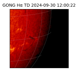 gong - 2024-09-30T12:00:22