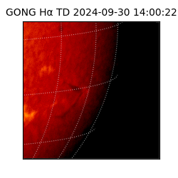 gong - 2024-09-30T14:00:22