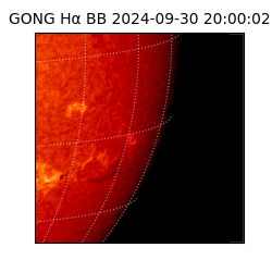 gong - 2024-09-30T20:00:02