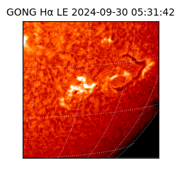 gong - 2024-09-30T05:31:42