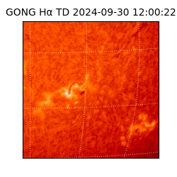 gong - 2024-09-30T12:00:22