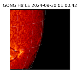 gong - 2024-09-30T01:00:42