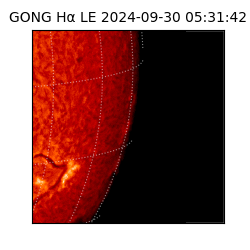 gong - 2024-09-30T05:31:42