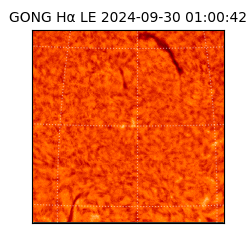 gong - 2024-09-30T01:00:42