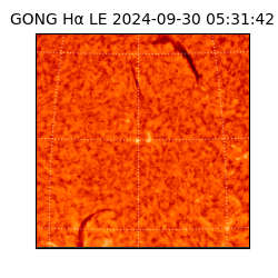 gong - 2024-09-30T05:31:42