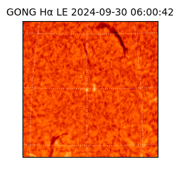 gong - 2024-09-30T06:00:42