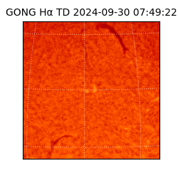 gong - 2024-09-30T07:49:22