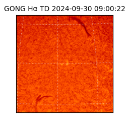 gong - 2024-09-30T09:00:22