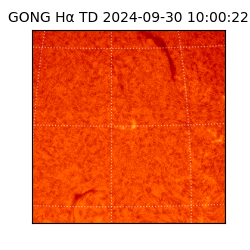 gong - 2024-09-30T10:00:22