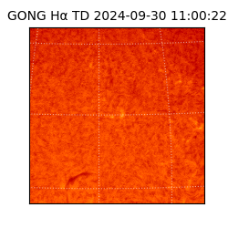 gong - 2024-09-30T11:00:22