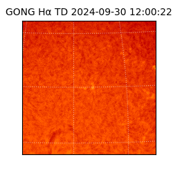 gong - 2024-09-30T12:00:22