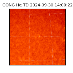 gong - 2024-09-30T14:00:22