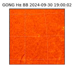 gong - 2024-09-30T19:00:02