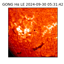 gong - 2024-09-30T05:31:42