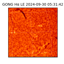 gong - 2024-09-30T05:31:42