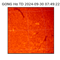 gong - 2024-09-30T07:49:22