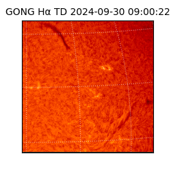 gong - 2024-09-30T09:00:22