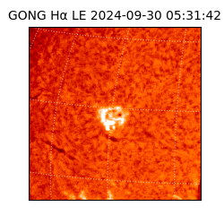 gong - 2024-09-30T05:31:42