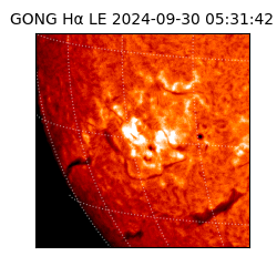 gong - 2024-09-30T05:31:42