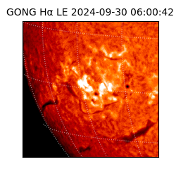 gong - 2024-09-30T06:00:42