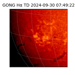 gong - 2024-09-30T07:49:22