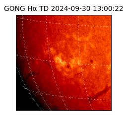 gong - 2024-09-30T13:00:22