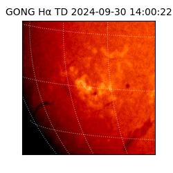 gong - 2024-09-30T14:00:22