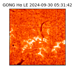 gong - 2024-09-30T05:31:42