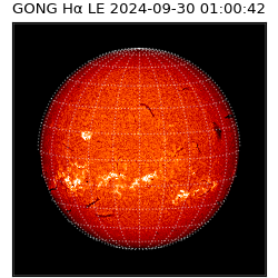 gong - 2024-09-30T01:00:42