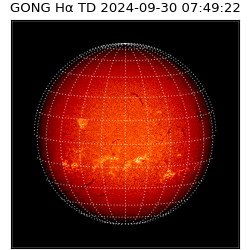 gong - 2024-09-30T07:49:22