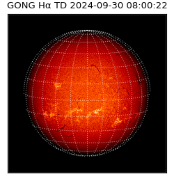 gong - 2024-09-30T08:00:22