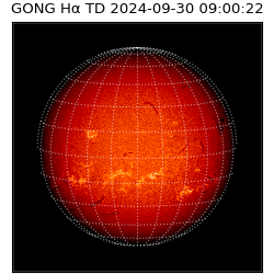 gong - 2024-09-30T09:00:22