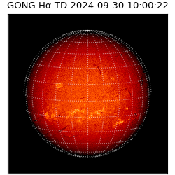 gong - 2024-09-30T10:00:22