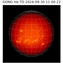 gong - 2024-09-30T11:00:22