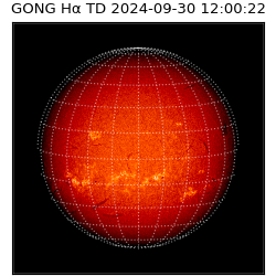 gong - 2024-09-30T12:00:22