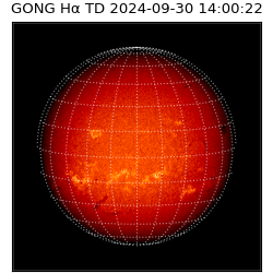 gong - 2024-09-30T14:00:22