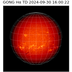 gong - 2024-09-30T16:00:22