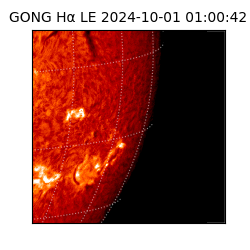 gong - 2024-10-01T01:00:42