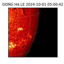 gong - 2024-10-01T05:00:42