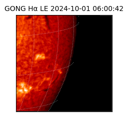 gong - 2024-10-01T06:00:42