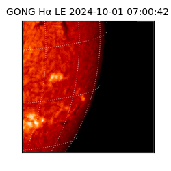 gong - 2024-10-01T07:00:42