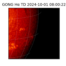 gong - 2024-10-01T08:00:22