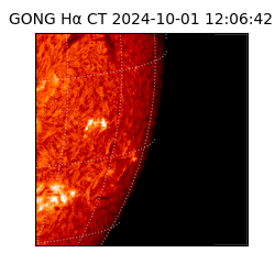 gong - 2024-10-01T12:06:42