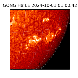 gong - 2024-10-01T01:00:42